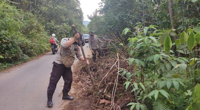 Sigap, Polsek Nanga Pinoh Bersihkan Ranting Pohon Yang Berpotensi Menyebabkan Lakalantas dan Gangguan Berkendara