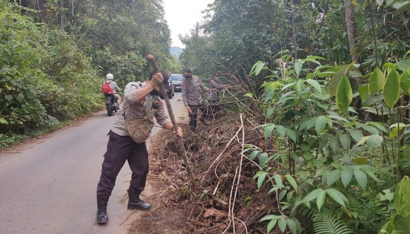 Sigap, Polsek Nanga Pinoh Bersihkan Ranting Pohon Yang Berpotensi Menyebabkan Lakalantas dan Gangguan Berkendara