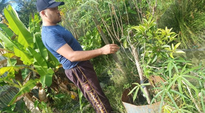 Bripka Arbain Ceritakan Pengalamannya Saat Isolasi Mandiri dan Ajak Warga Menjaga Ketahanan Pangan di Masa Pandemi Covid-19