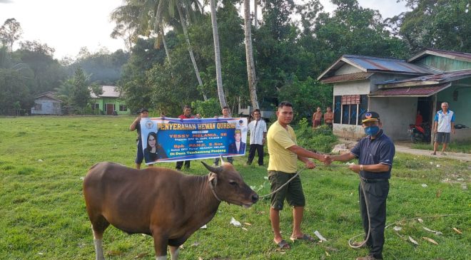 Panji dan Yessy Serahkan 1 Ekor Hewan Kurban Kepada Pengurus Masjid Al Hadi Baitussalam