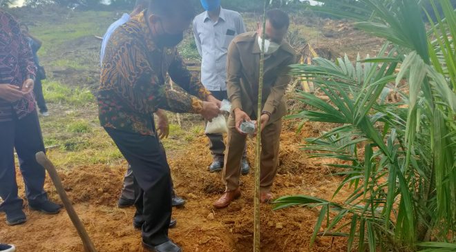 Wakil Bupati Melawi, Hadiri Penanaman Perdana Program PSR di Desa Beloyang