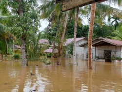 Banjir Bandang Rendam Dua Desa Di Kecamatan Sayan
