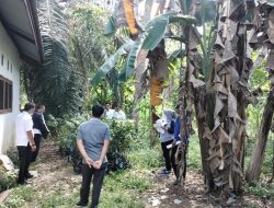 Taufik Serahkan Bantuan Bibit Buah-buahan Kepada KUT di Desa Baru