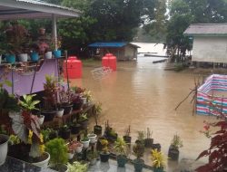 Waspada !!! Tingginya Curah Hujan Yang Terjadi di Kabupaten Melawi Berpotensi Sebabkan Bencana Banjir dan Longsor