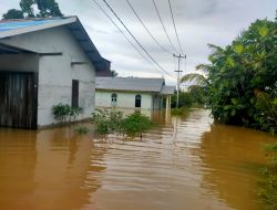 Banjir Di Melawi: BPBD Kabupaten Akan Berusaha Bantu Masyarakat Terdampak