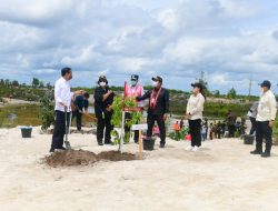 Dorong Penanganan Pasca Banjir di Sintang, Yessy Beserta Presiden dan Menteri LHK lakukan Penanaman Pohon di Lahan Bekas Tambang