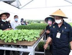 Mentan Syahrul Yasin Limpo: Integrated Farming Pola Baru Sejahterakan Petani