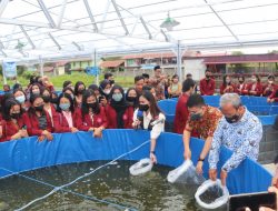 Yessy Melania Serahkan 25.600 Bibit  Lele Di STKIP Melawi