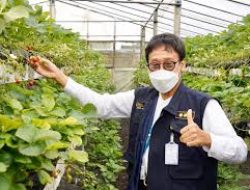 BPPSDMP BBPP Binuang Mantapkan Persiapan Pelatihan Smart Farming