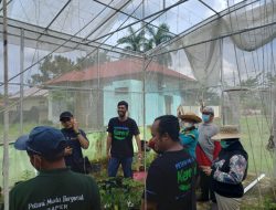 BBPP Binuang BPPSDMP Terapkan Smart Farming, Siap Latih Petani Milenial Kalimantan