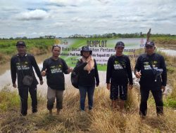 Upaya BPPSDMP Genjot Produktivitas Lahan SDM Food Estate