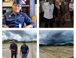 Wujudkan Kostratani Pusat Gerakan Pembangunan Pertanian, Petani Kembayan Sanggau Tanam Padi Serentak