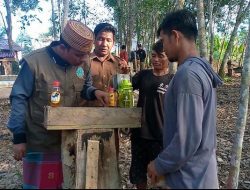 Pandemi Covid-19, Ustadz Abdurrahman Assayuthi Sukses Budidayakan Madu Kelulut