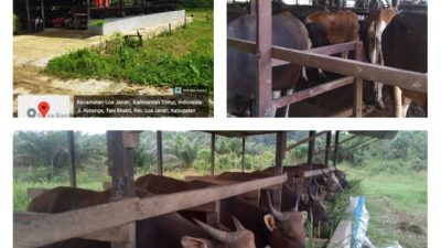 Kisah Inspiratif Andri Darmawan, Peternak Milenial Asal Kutai Kartanegara