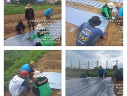 BBPP Binuang Bekali Siswa Magang Keterampilan Budidaya Tanaman