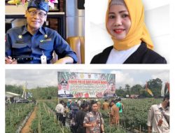 Kembangkan Usaha Pertanian di Kabupaten Banjar, Dinas TPH Provinsi Kalsel Berikan Bantuan