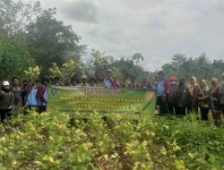 Dukung Swasembada Kedelai, BBPP Binuang Latih Manajemen Pengolahan Hasil Tanaman Pangan