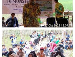 Percepat Penyerapan Teknologi di Bidang Pertanian, Kementan Laksanakan Kegiatan Demonstrasi