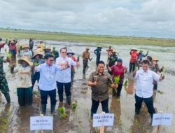 Wagub Kalteng Dampingi Mentan Tanam Padi di A5 Dadahup