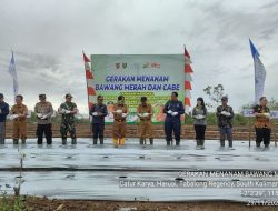 DKPPTPH Kabupaten Tabalong Dukung Petani Hortikultura Gerakan Menanam Bawang Merah dan Cabai