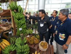 Kementerian Pertanian Apresiasi Capaian Jambore Hortikultura 2022