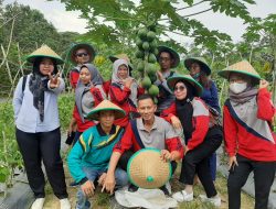 Edukasi Wisata Pertanian, BBPP Binuang Ajak Keluarga Family Gathering ke P4S Abas Farm
