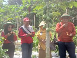 BBPP Binuang Gelar Edowisata Pertanian ke P4S Abas Farm