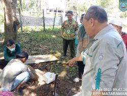 Kementan Masifkan Genta Organik Bagi Petani di Kalimantan