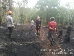 Kapolsek Nanga Pinoh Pimpin Langsung Pengecekan Kathutla di Pinoh Utara