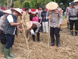 Polres Melawi dan Polsek Jajaran Dukung Program Ketahanan Pangan Lakukan Penanaman Jagung Serentak