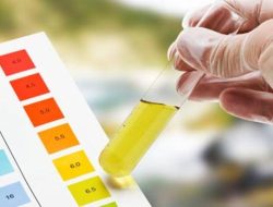 DPRD Melawi Usul Tes Urin Narkoba Dimulai dari Desa