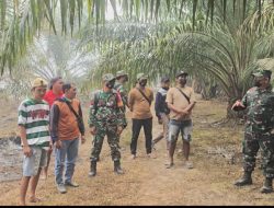 Karhutla Melawi Makin Masif, Tim Mabes TNI Turun Langsung Pantau Titik Kebakaran